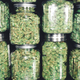 Illustration for article titled Federal Legalization of Marijuana Could Be Back on the Tableem/em
